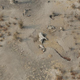 Illustration for article titled Poachers use cyanide to massacre over 300 elephants in Zimbabwe